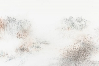 Poussières de Gommes II